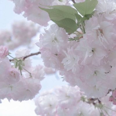 Furry插画风格探索Furry群